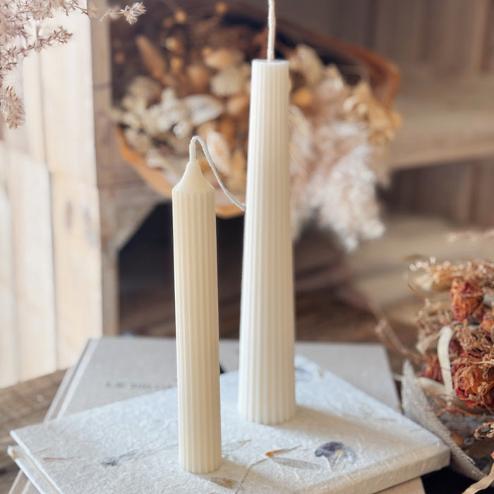 Silene Candela Decor