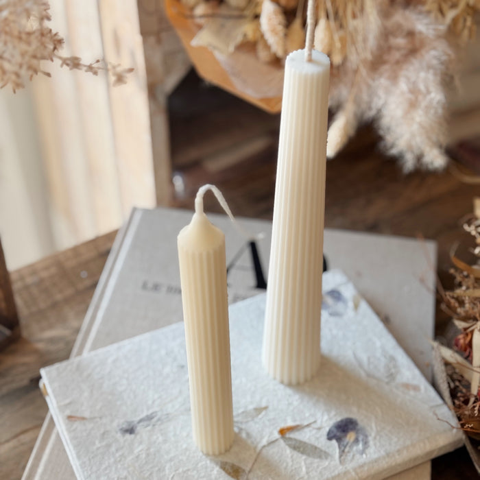 Silene Candela Decor