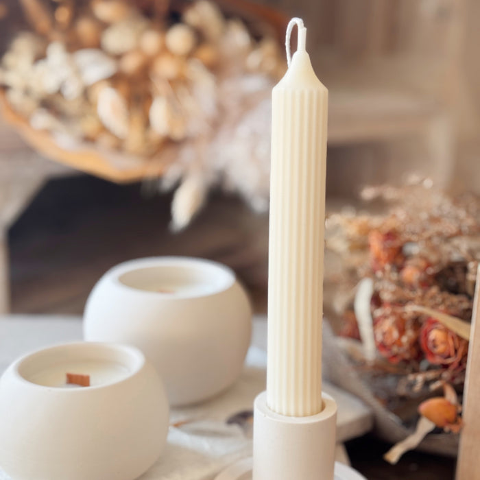 Silene Candela Decor