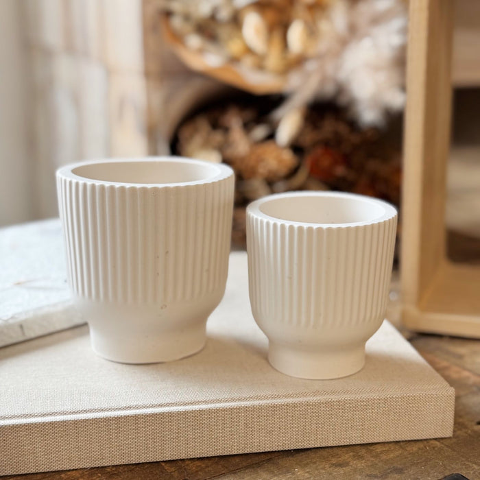 Tulipano Vaso