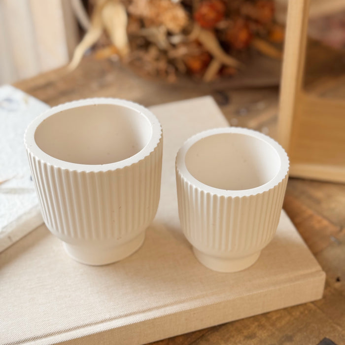 Tulipano Vaso