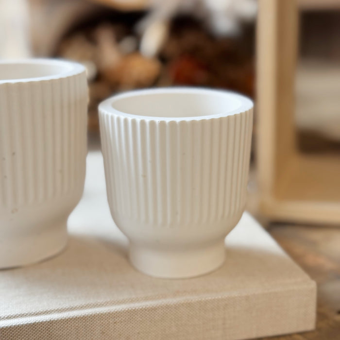 Tulipano Vaso