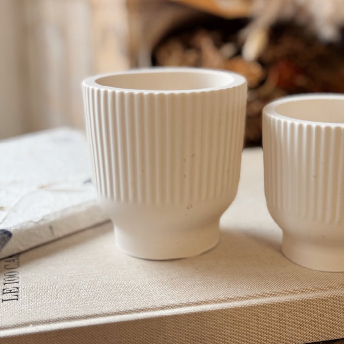 Tulipano Vaso