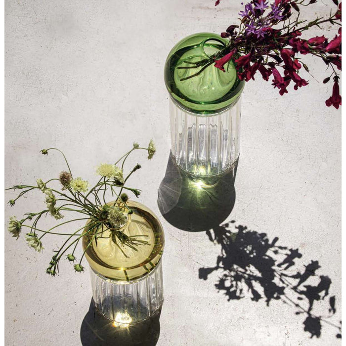 Allacorte Vaso Composto Yellow