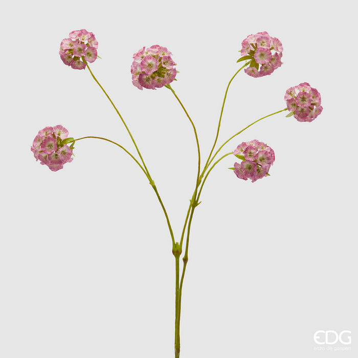 Scabiosa Ramo 66cm