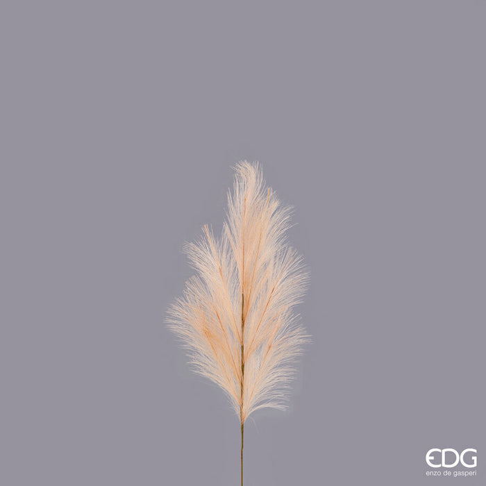 Pampas Ramo 70cm