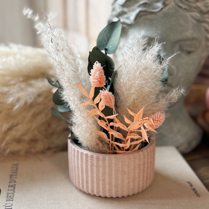 Mini Bloom - Composizione in Vasetto