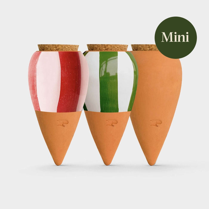 Box Trio Mini Ollas - le striate