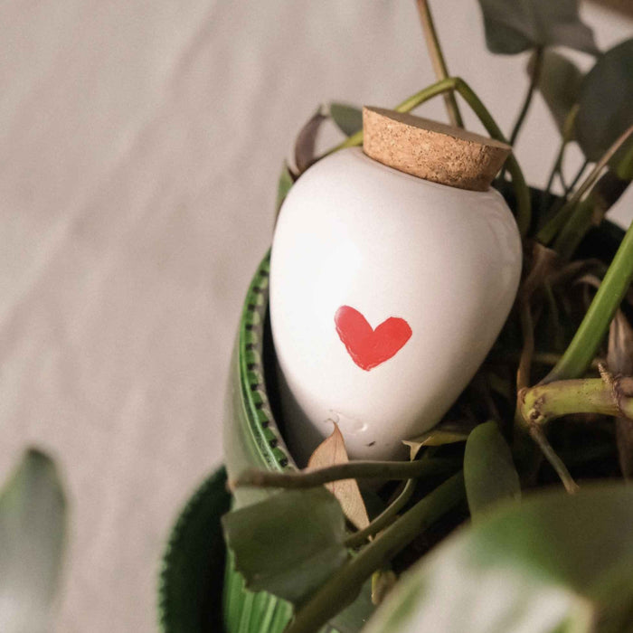 Olla - Cuore