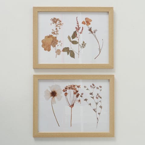 Quadro Stampa Fiori 43x33cm -  Boltze -  Segni Particolari.