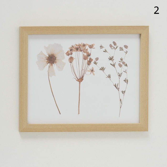Quadro Stampa Fiori 43x33cm -  Boltze -  Segni Particolari.