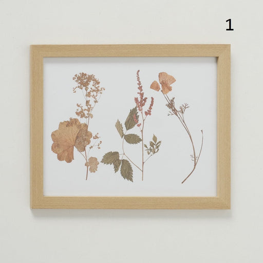Quadro Stampa Fiori 43x33cm -  Boltze -  Segni Particolari.