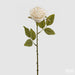 Rosa Fiore Epoque -  EDG -  Segni Particolari.