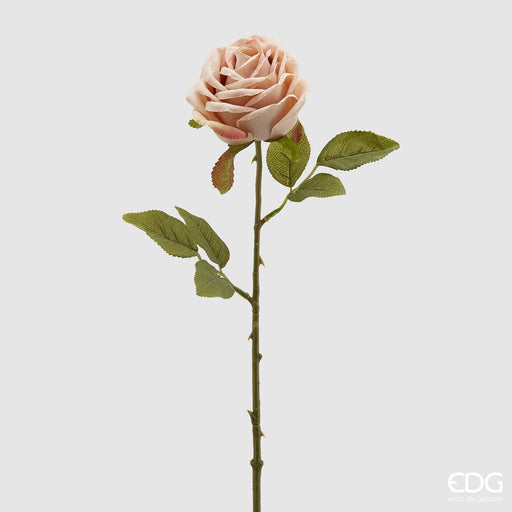 Rosa Fiore Epoque -  EDG -  Segni Particolari.