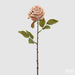 Rosa Fiore Epoque -  EDG -  Segni Particolari.