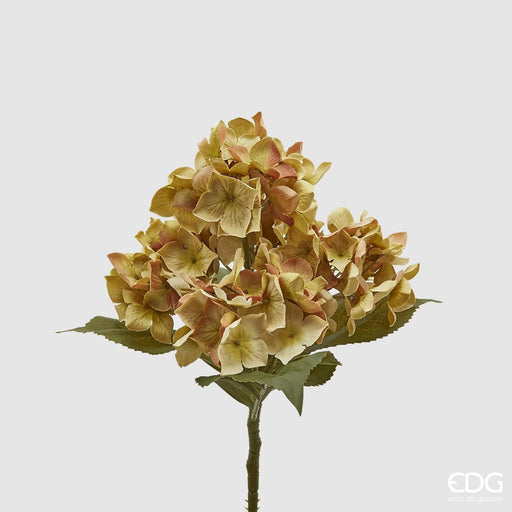 Mazzo Ortensie Epoque -  EDG -  Segni Particolari.