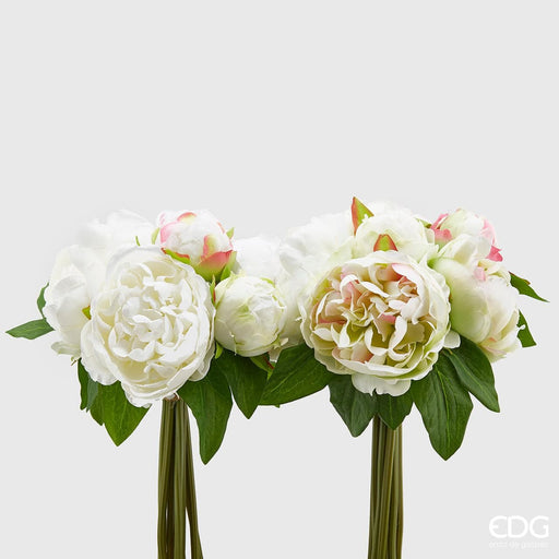 Mazzo Peonie -  EDG -  Segni Particolari.