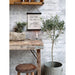Quadretto Tela Grateful -  Chic Antique -  Segni Particolari.