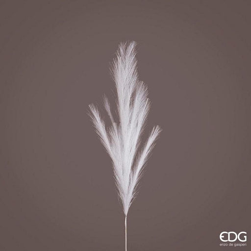 Pampas Ramo h100cm -  EDG -  Segni Particolari.