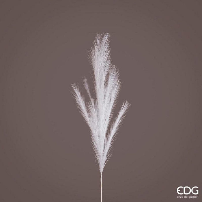 Pampas Ramo h100cm -  EDG -  Segni Particolari.