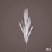 Pampas Ramo h100cm -  EDG -  Segni Particolari.