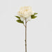 Peonia Fiore Epoque -  EDG -  Segni Particolari.