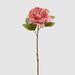 Peonia Fiore Epoque -  EDG -  Segni Particolari.