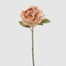 Peonia Fiore Epoque -  EDG -  Segni Particolari.