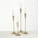 Set 4 Candelabri Gold Liselle -  Boltze -  Segni Particolari.