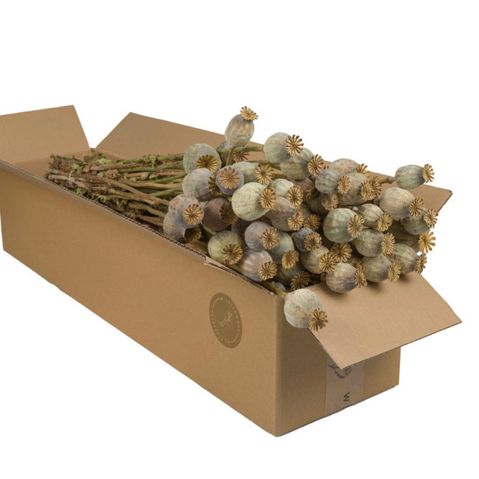 Mazzo Fiori Secchi - Fiori al Kilo