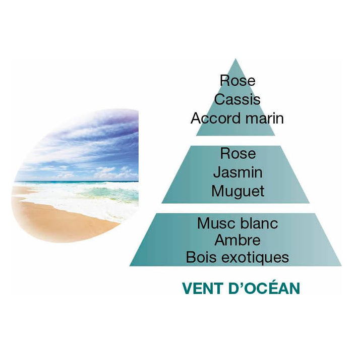 Vent d'Océan - Ricarica Lampe Berger