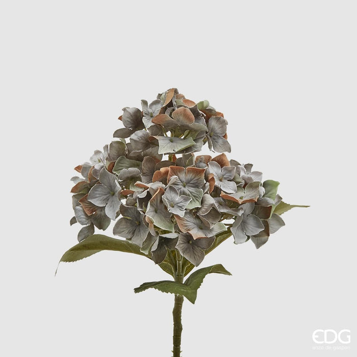 Mazzo Ortensie Epoque -  EDG -  Segni Particolari.