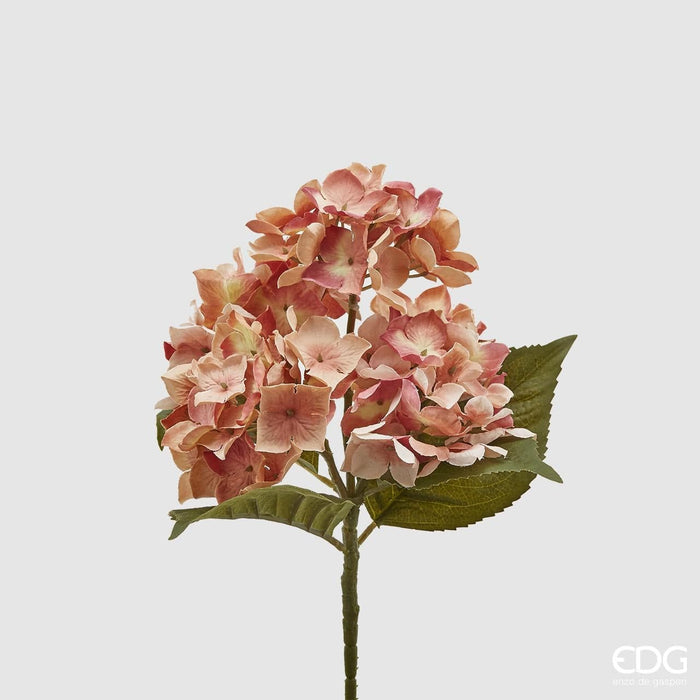 Mazzo Ortensie Epoque -  EDG -  Segni Particolari.