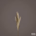 Pampas Ramo h70cm -  EDG -  Segni Particolari.