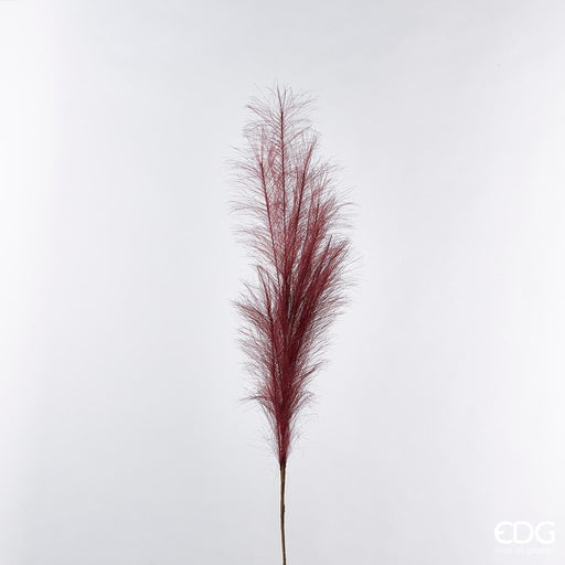 Pampas Ramo h100cm -  EDG -  Segni Particolari.