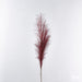 Pampas Ramo h100cm -  EDG -  Segni Particolari.