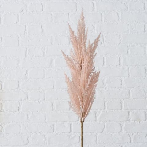 Pampas Ramo Rosè -  Boltze -  Segni Particolari.