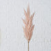 Pampas Ramo Rosè -  Boltze -  Segni Particolari.