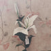 Amaryllis Artempo segni-particolari-home Fiori artificiali