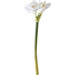 Amaryllis Artempo segni-particolari-home Fiori artificiali