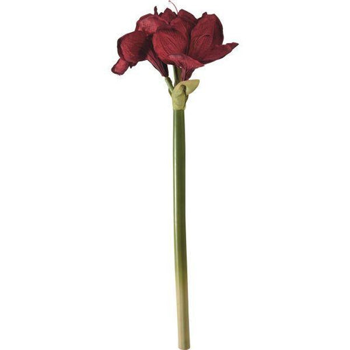 Amaryllis Artempo segni-particolari-home Fiori artificiali