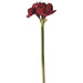 Amaryllis Artempo segni-particolari-home Fiori artificiali