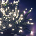 Catena Luci 120 Led Calda Lotti Luci segni-particolari-home Luci di Natale