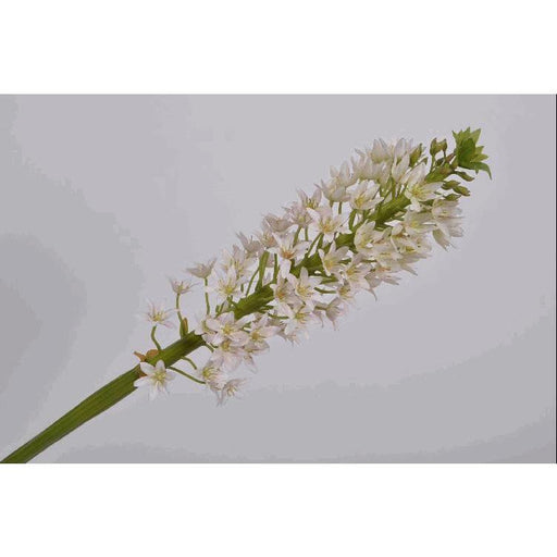 Eucomis Silk-ka segni-particolari-home Fiori artificiali