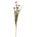 Mazzolino Fiori Piscialetto Ib Laursen segni-particolari-home Fiori artificiali